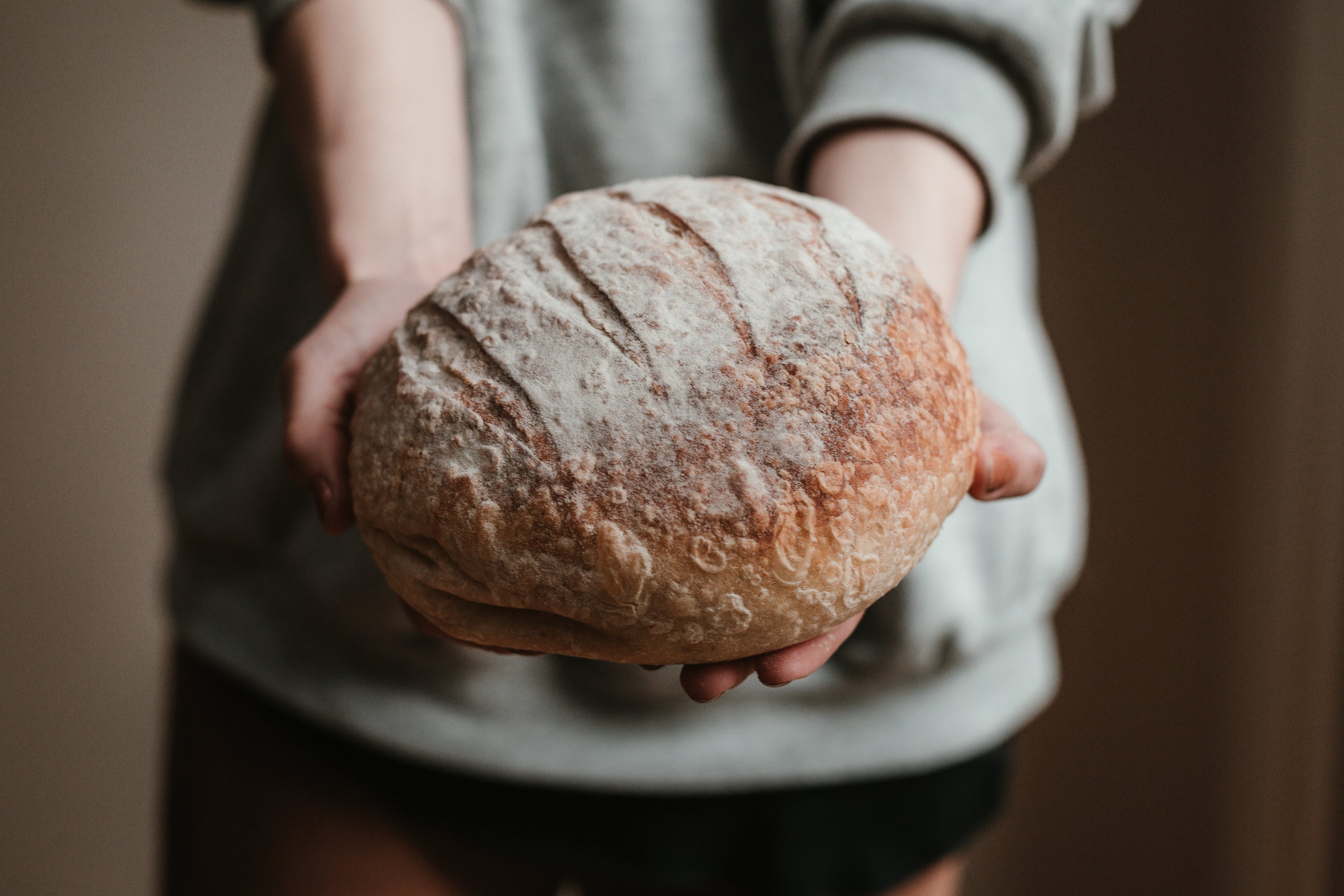 Brood